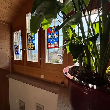 Historic Lakeview Swiss Near Interlaken Holiday home